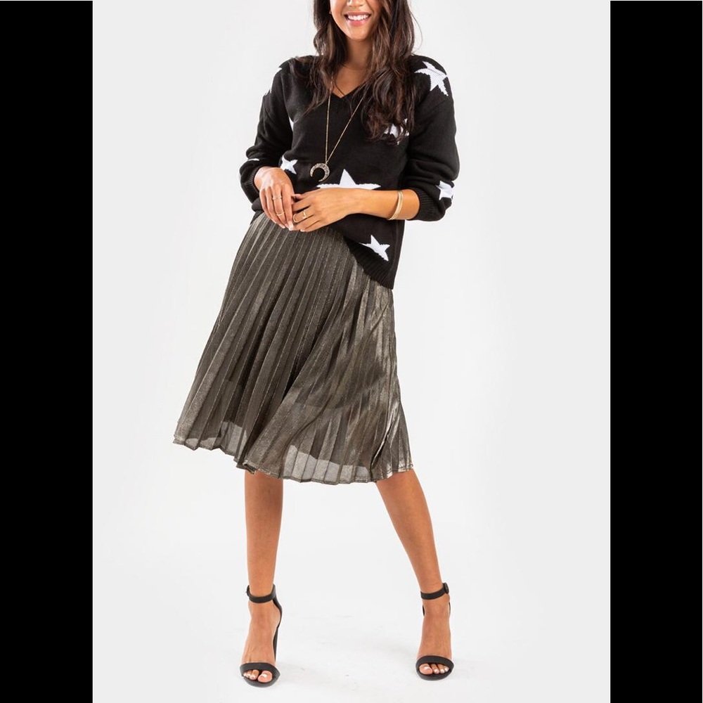 NWT Francesca’s Anell Pleated Midi Skirt